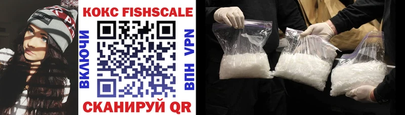 Купить закладки  Котельники  Cocaine Fish Scale 
