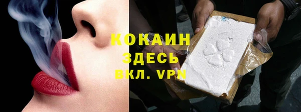 бошки Заводоуковск