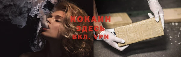 бошки Заводоуковск