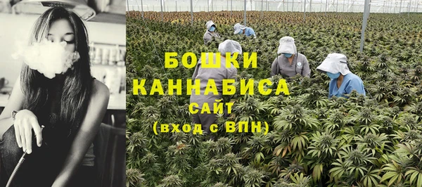 бошки Заводоуковск